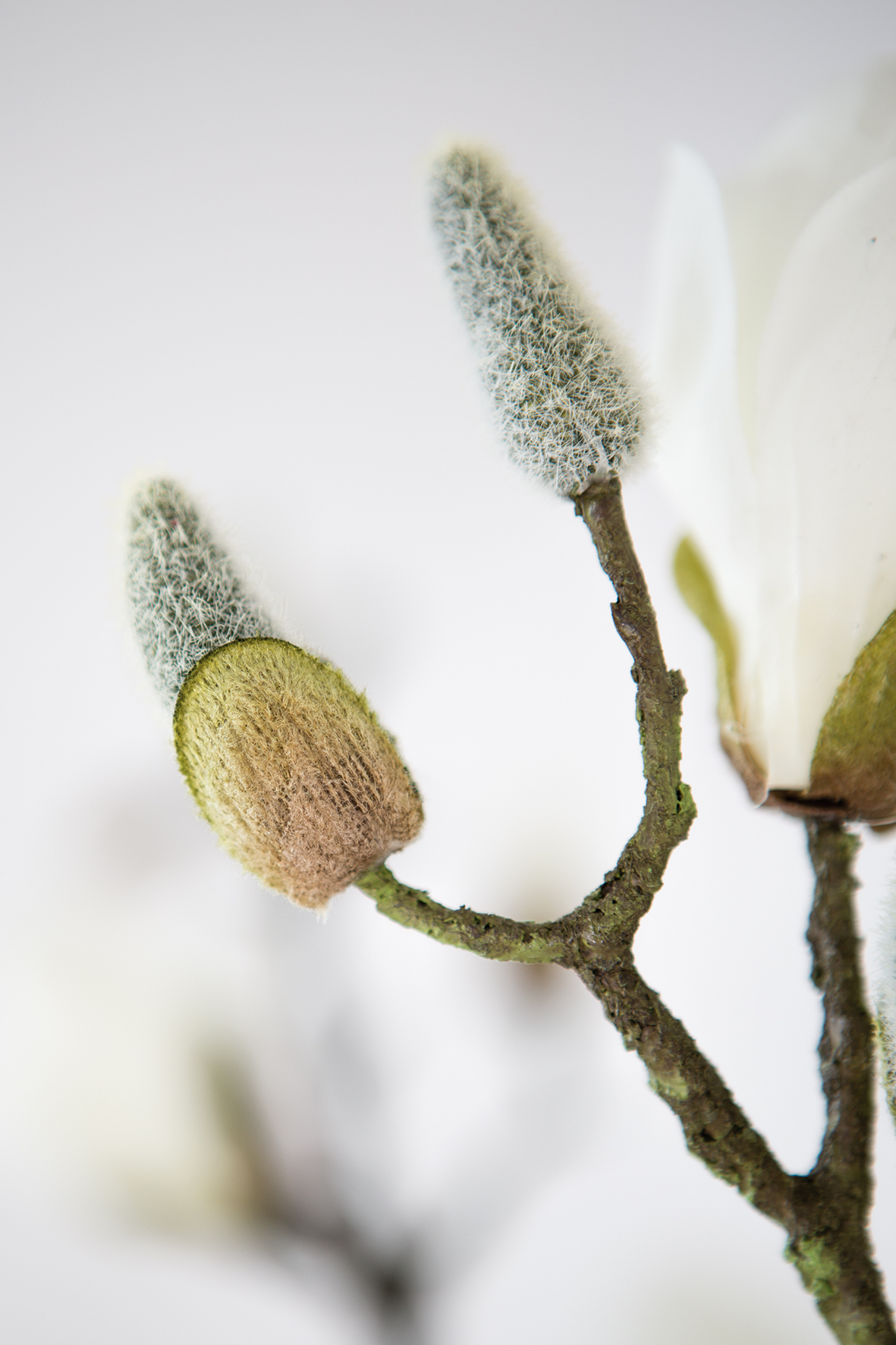 Fink Kunstblume Magnolienzweig weiß