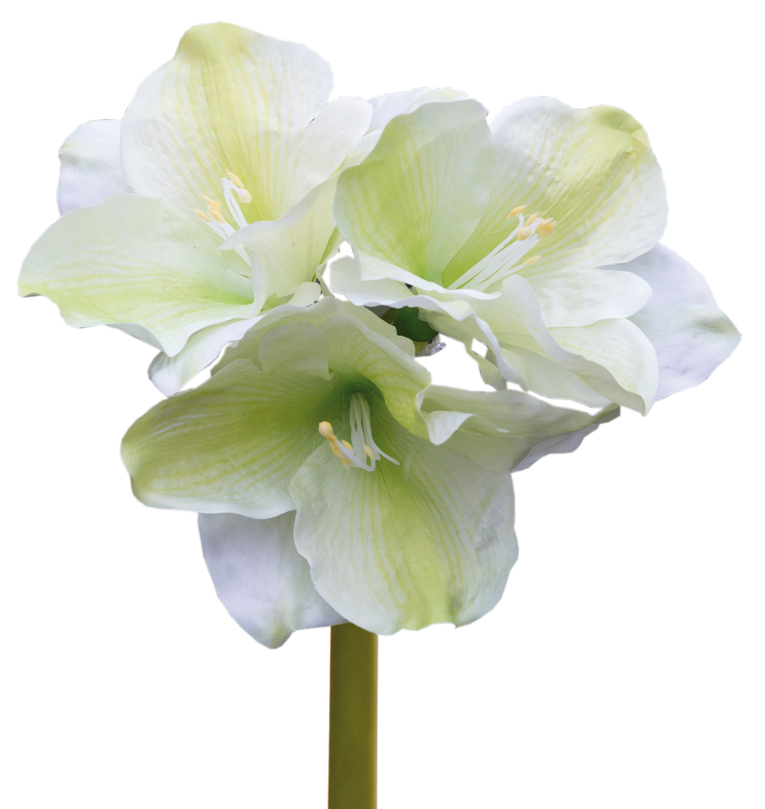 Fink Kunstblume Amaryllis creme, hellgrün