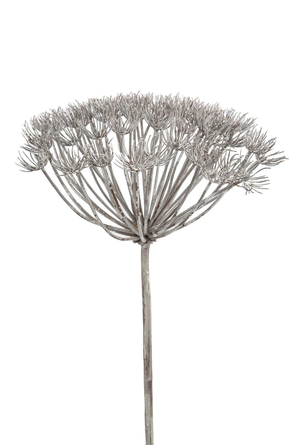 Fink Kunstblume Allium grau, weiß online kaufen Missforty.de