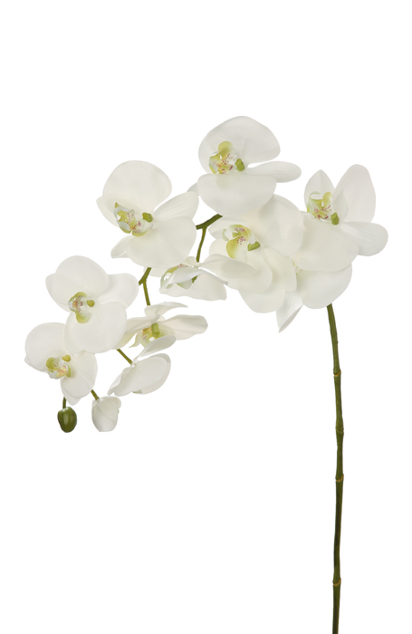 Fink Kunstblume Orchidee weiß online kaufen Missforty.de