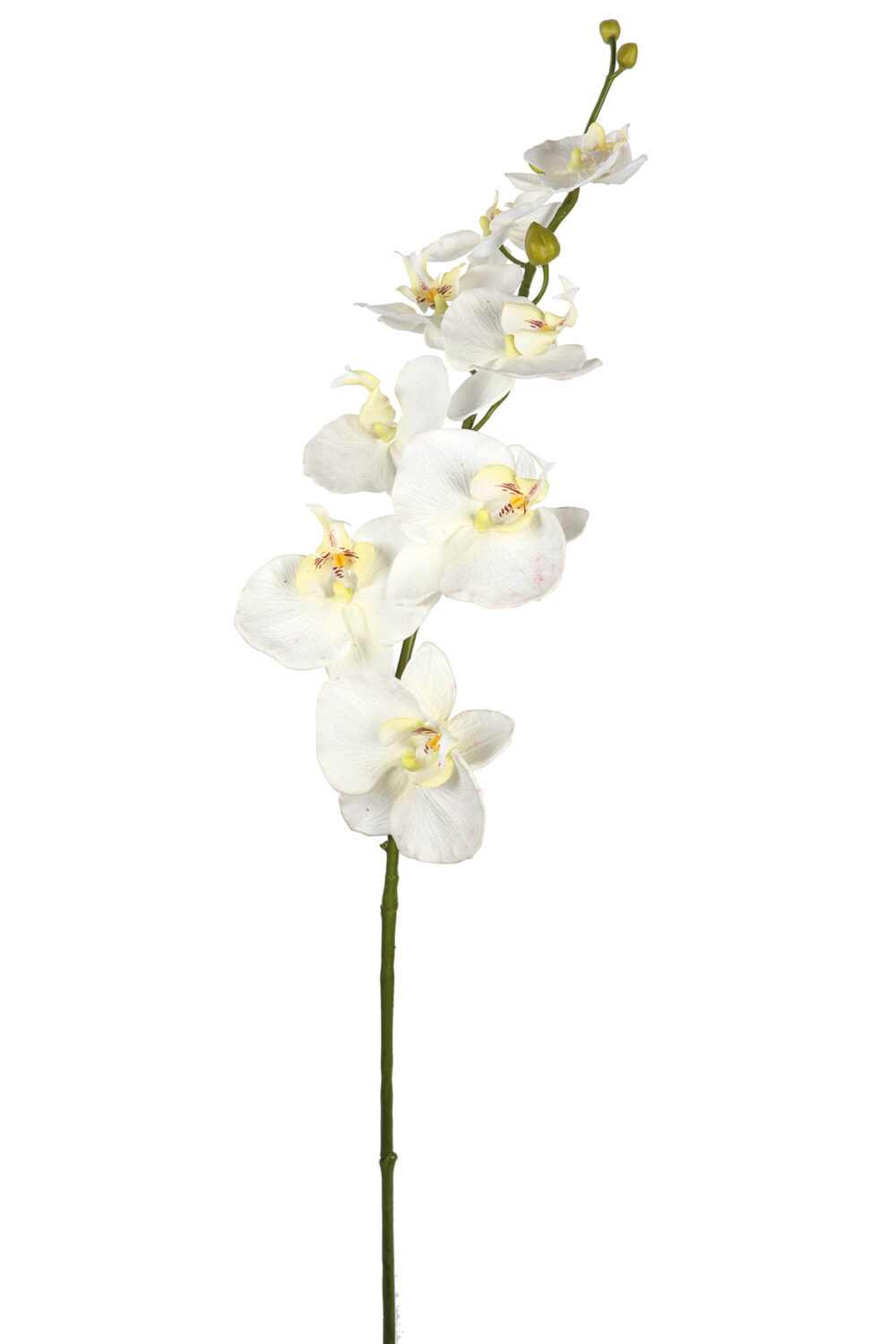 Fink Kunstblume Orchidee creme online kaufen Missforty.de