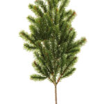Fink Kunstblume Tannenzweig grün online kaufen Missforty.de