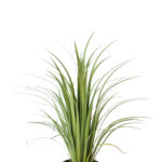 Fink Kunstblume Gras grün online kaufen Missforty.de