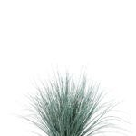 Fink Kunstblume Gras dunkelgrün online kaufen Missforty.de