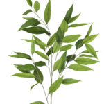 Fink Kunstblume MYRTENZWEIG grün online kaufen Missforty.de