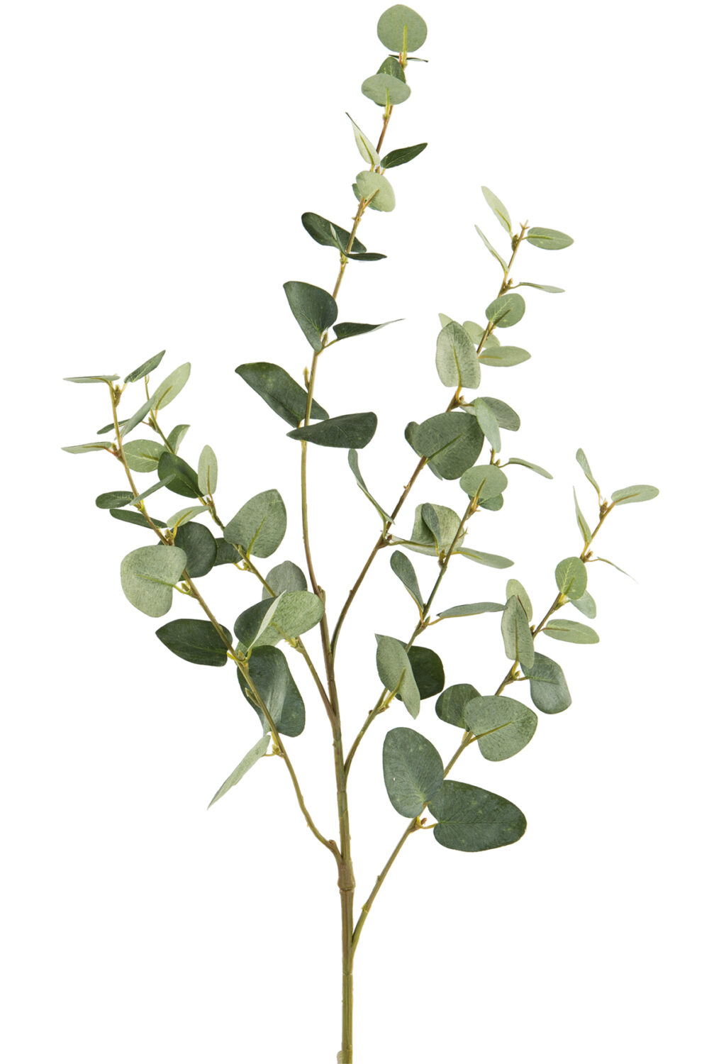 Fink Kunstblume Eukalyptuszweig grün online kaufen Missforty.de