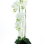 Fink Kunstblume Orchidee weiß online kaufen Missforty.de