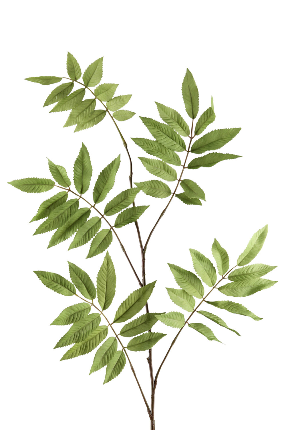 Fink Kunstblume Blatt grün online kaufen Missforty.de