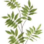 Fink Kunstblume Blatt grün online kaufen Missforty.de