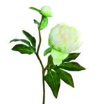 Fink Kunstblume Pfingstrose creme, hellgrün online kaufen Missforty.de