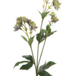 Fink Kunstblume Astrantia grün, lila online kaufen Missforty.de