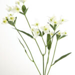 Fink Kunstblume Waxblume weiß online kaufen Missforty.de