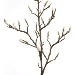 Fink Kunstblume Magnolienknospenzweig dunkelbraun online kaufen Missforty.de