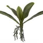 Fink Kunstblume Orchideenblätter grün online kaufen Missforty.de