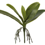 Fink Kunstblume Orchideenblätter dunkelgrün online kaufen Missforty.de