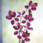 Fink Kunstblume Blätterzweig dunkel pink, grün online kaufen Missforty.de