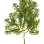 Fink Kunstblume Tannenzweig grün online kaufen Missforty.de