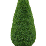 BUCHSBAUM künstlich Kunstpflanze Kegel grün Höhe 120 cm online kaufen Missforty.de