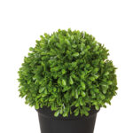 Fink Kunstblume Buchskugel grün online kaufen Missforty.de