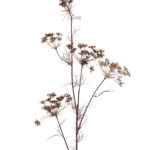 Fink Kunstblume Zweig braun online kaufen Missforty.de